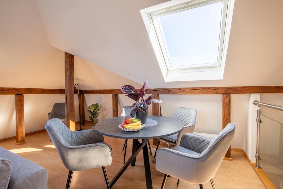 Special Roger F Rabbit 4 Apartment, Roche Towers, 10-star Appartement Bazel