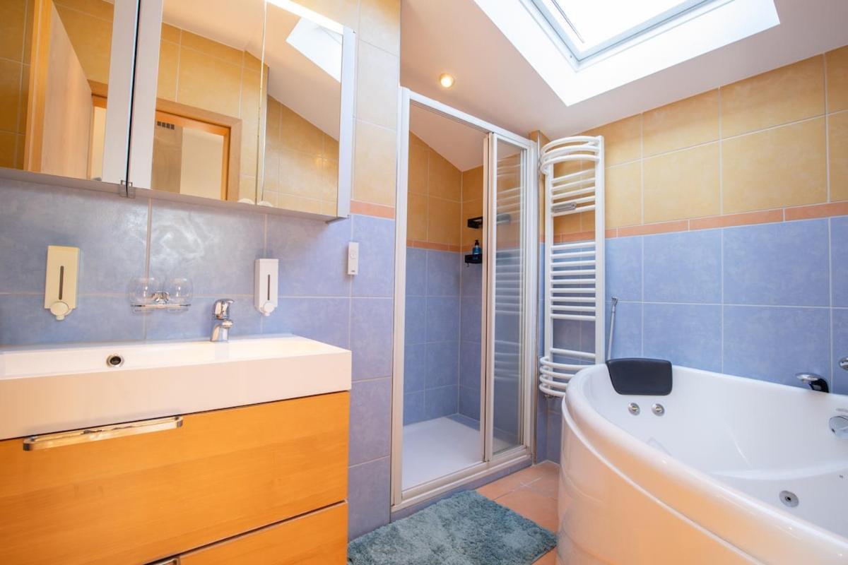 Special Roger F Rabbit 4 Apartment, Roche Towers, 10-star * Bazel