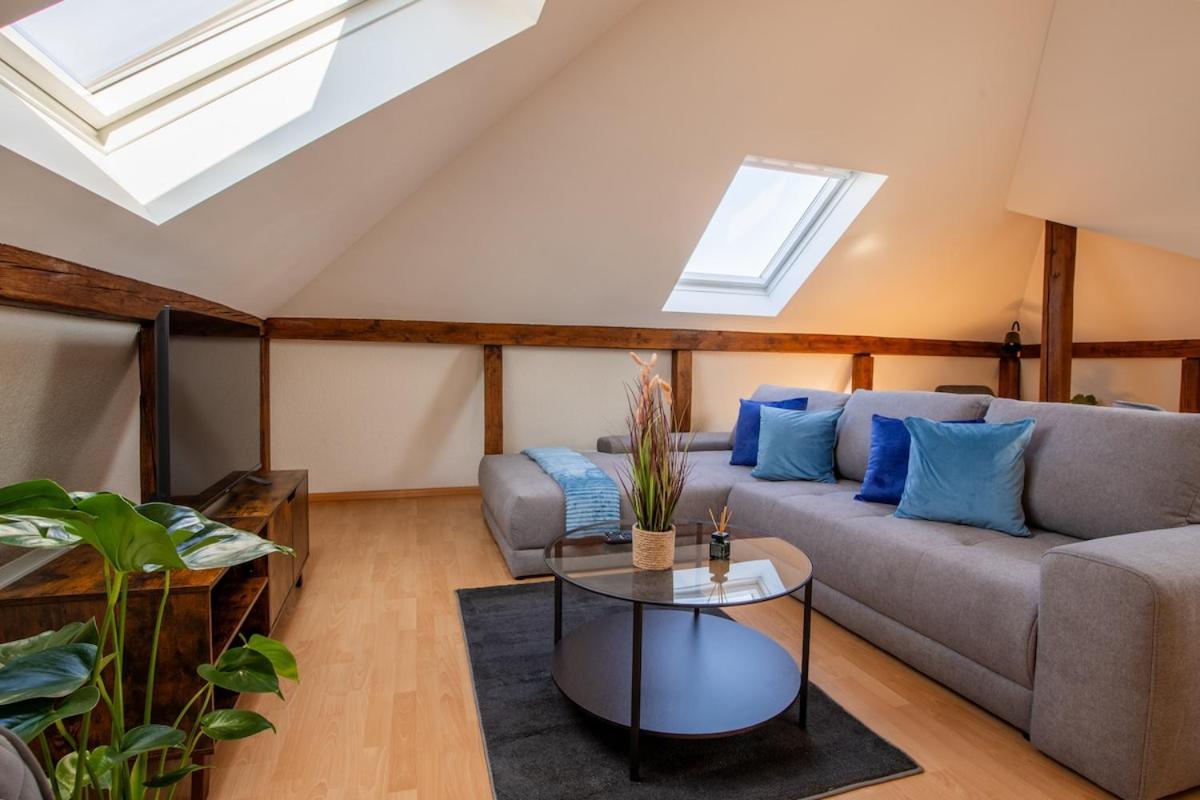 Appartement Special Roger F Rabbit 4 Apartment, Roche Towers, 10-star *
