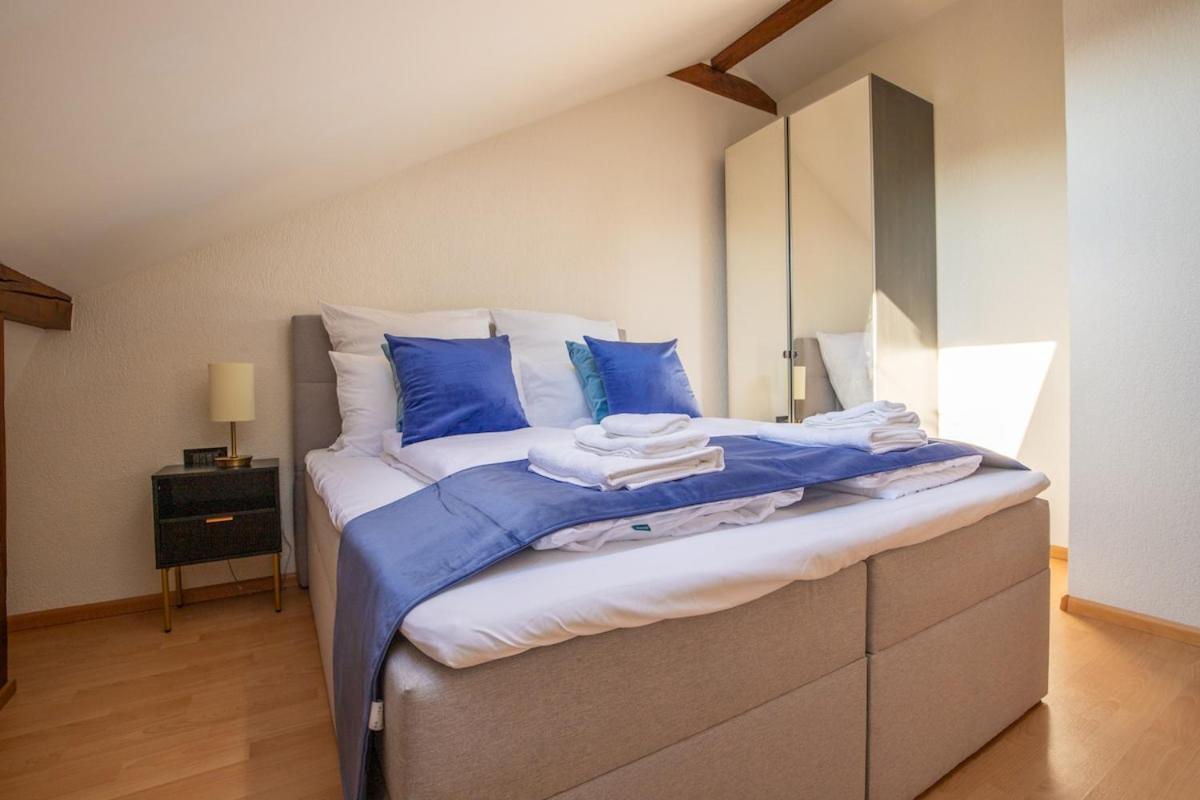 Appartement Special Roger F Rabbit 4 Apartment, Roche Towers, 10-star Bazel