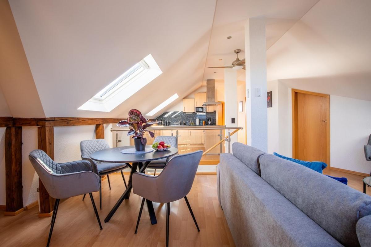 Appartement Special Roger F Rabbit 4 Apartment, Roche Towers, 10-star Bazel