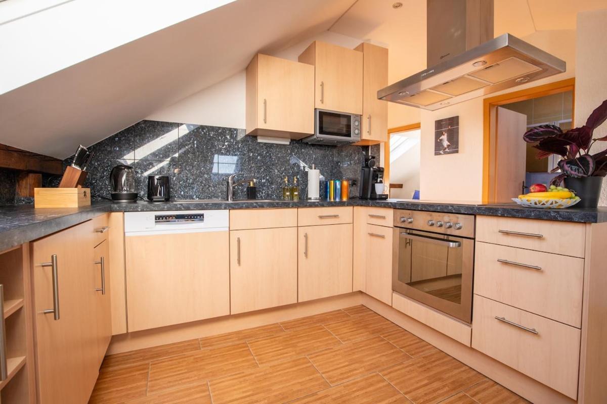 Special Roger F Rabbit 4 Apartment, Roche Towers, 10-star * Bazel